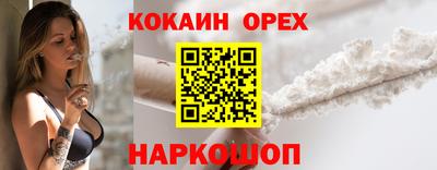 спиды Камышлов