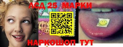 спиды Камышлов